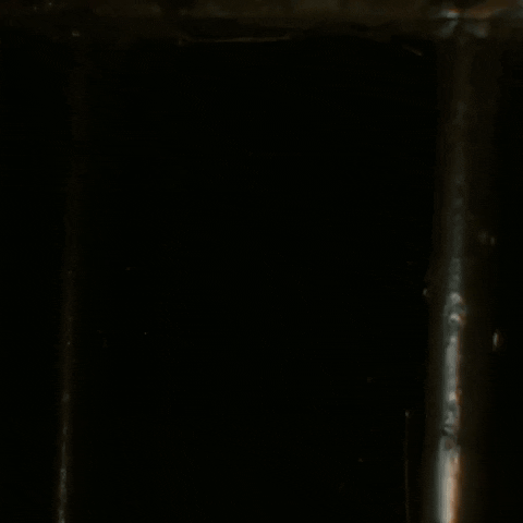 On flowers, wisdom, and systems with Alexis Frasz and Tanya Birl-Torres